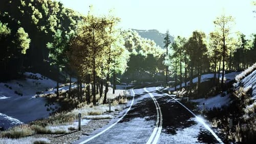 Aerial View of Curvy Road in Beautiful Autumn Forest
