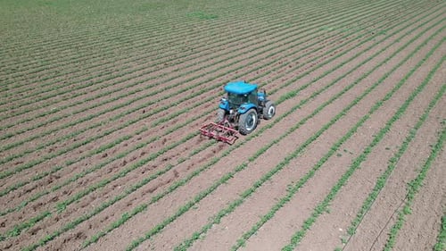 Agriculture field with tractor.