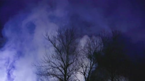 Silhouette Trees Under Heavy Clouds at Night
