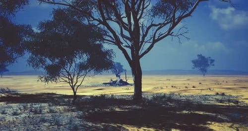 Atmospheric Desert Landscape Motion Background with Sparse Trees