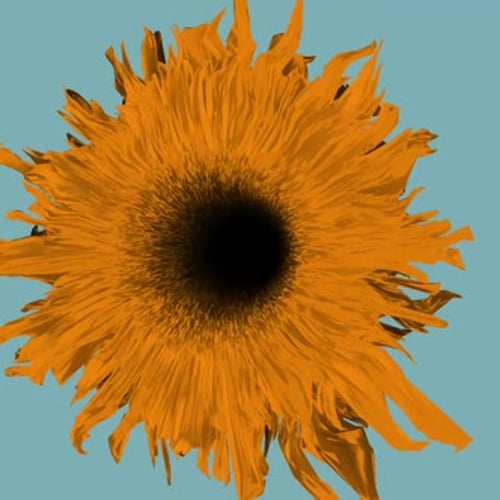 Abstract Orange Pulsating Flower Animation
