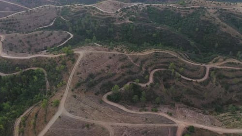 Orbit aerial shot of a dry barren terrain with holm oak trees torn by dirt trails at sunrise in Alga