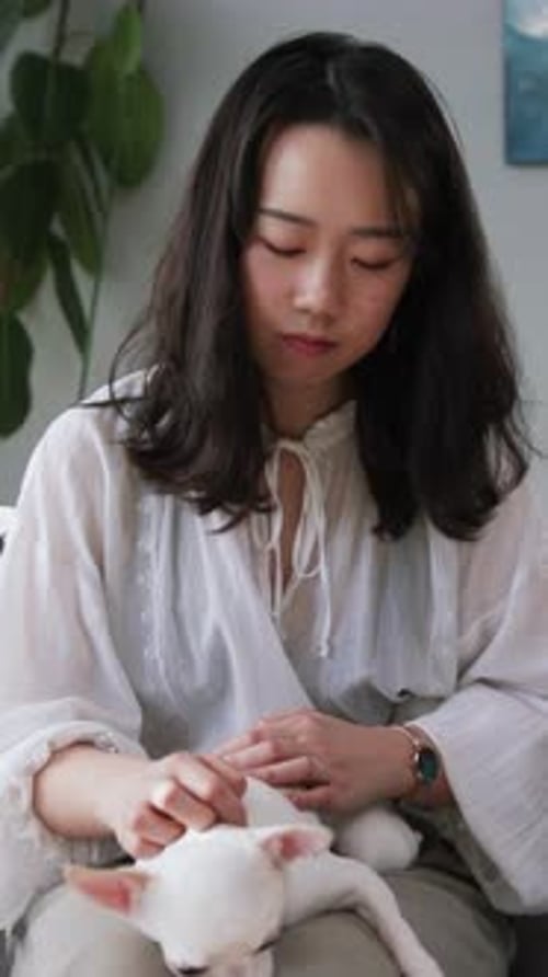 Woman Pets Small Dog on Her Lap Indoors