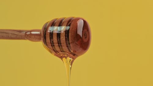 Honey Dipper Drips Golden Honey on Yellow