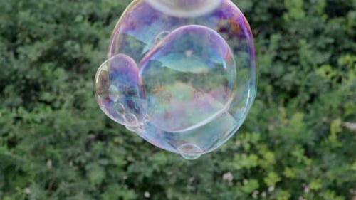 Soap Bubbles Float, Then Pop in Front of Greenery