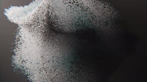 Abstract Particle Digital Head Logo Reveal