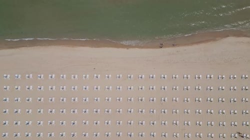 A Sandy Beach Stretches Along the Seaside Adorned with Empty Sun Loungers Aerial View