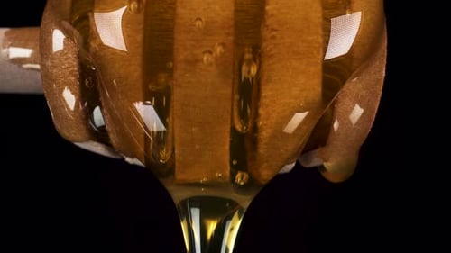close-up view of honey dripping over honey dipper stick with a black background, sweet food