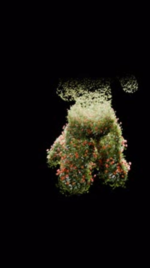 Plant Growing on a Prayer 3d