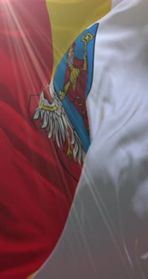 Vertical Animated Flag with Realistic Waving and Intricate Emblem