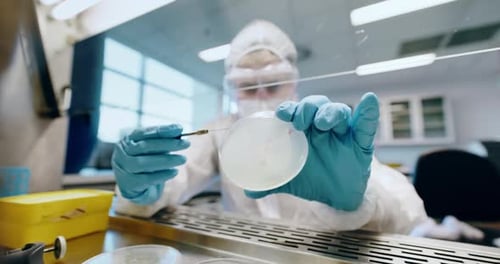 Lab Technician Working with Petri Dish in Laboratory