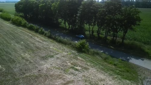 Green corn field aerial view