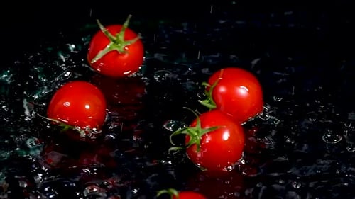 Tomatoes Falling Into The Water With a Splash and Bubbles on Black Background