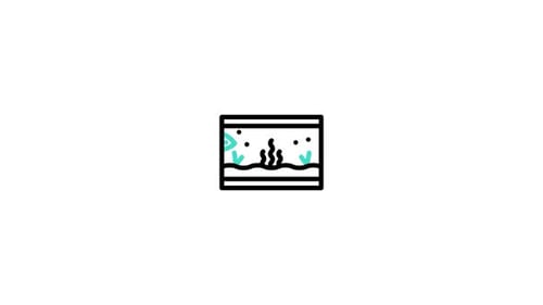 Aquarium Animated Icon