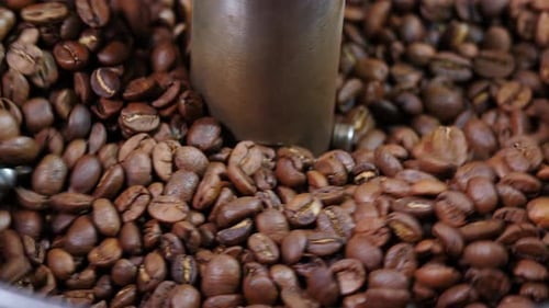 Coffee Beans Rotating in a Roasting Machine