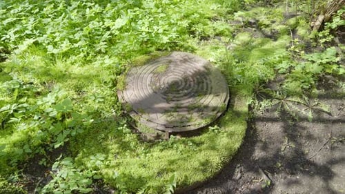 Alter eiserner Kanaldeckel, der in der Stadt fast von Gras bewachsen ist