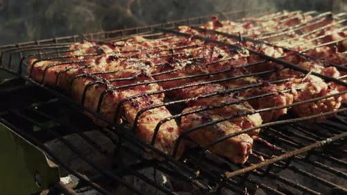 Meat Cooking on Metal Grill