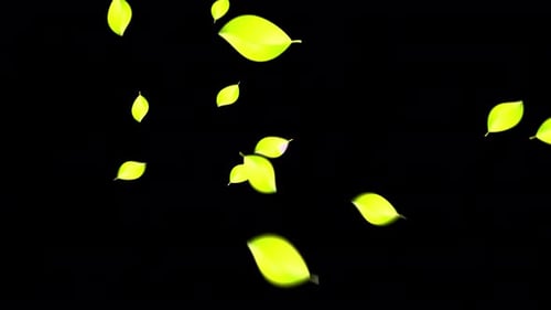 Gelbe Farbblätter kommen weiterhin aus der mittleren VFX-Animation auf transparentem Hintergrund heraus