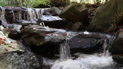 Scenic waterfall in small stream flowing through woods with color of fall foliage. Relaxing view whi