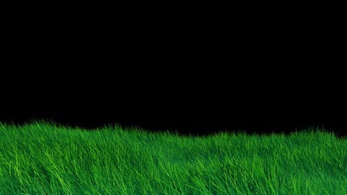 Grass Wind Loop on Alpha.