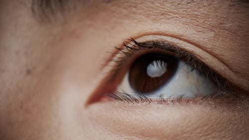 Extreme Close Up of a Brown Human Eye