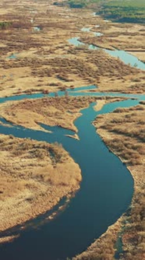 Aerial View Of Forest Woods