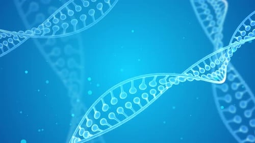 Animated Blue DNA Double Helix Structure Loop