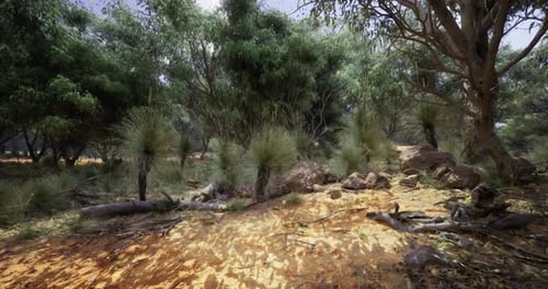 Serene Forest Landscape with Lush Greenery and Sunlight Filtering Through Trees