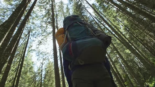 Ein Mann steht mitten im Wald und schaut sich um