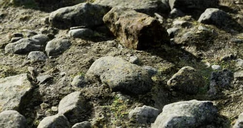 Realistic Textured Rocks and Ground Slow Pan
