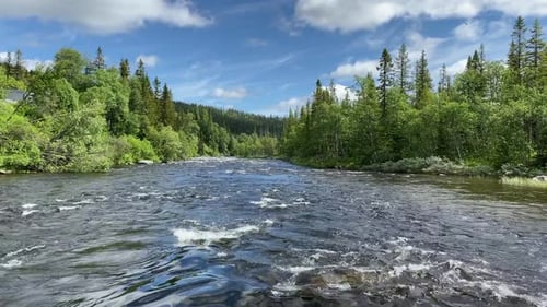 Flowing water in a river in the forest