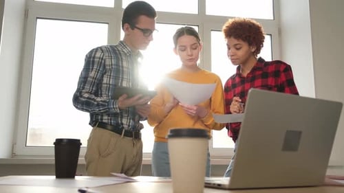 Diverse Colleagues Business People Working on Office