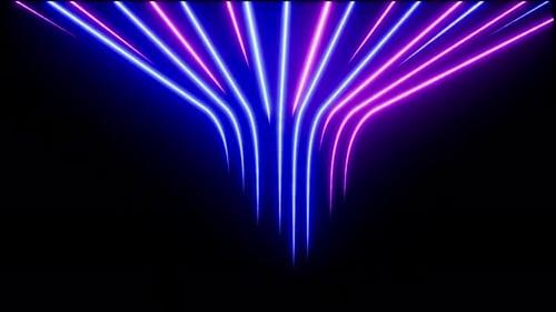 Abstract Neon Lights Animation on Black Background