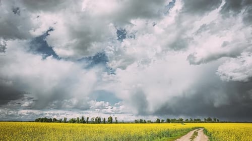 Dramatic Sky With Rain Clouds On Horizon Above Rural Landscape Camola Colza Rapeseed Field