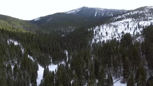 AERIAL - a deep valley full of trees