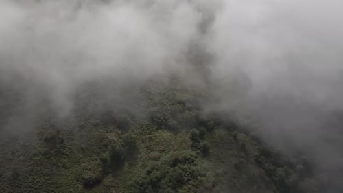 Aerial View From Above of Morning Fog Over Green Wooded Landscape