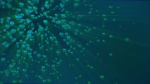 Beautiful Movement Of Particles And Lines