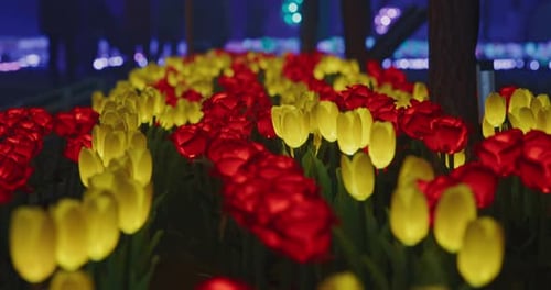 Beijing China Zigong Lantern Festival