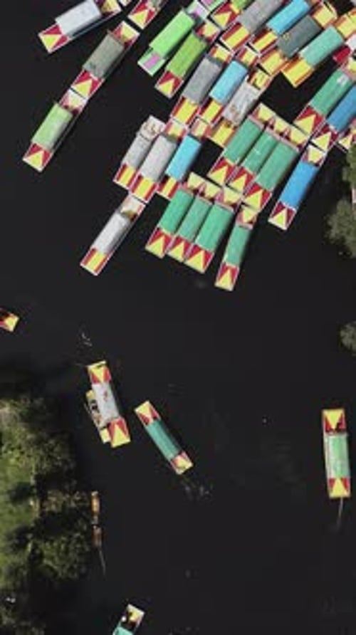 Bateaux Trajinera sur le lac Xochimilco, Mexique, mode vertical