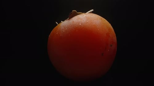 Persimmon covered with water droplets, rotating on a black background, close-up.