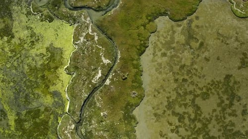 4k drone footage of luscious green land along the West Coast of South Africa