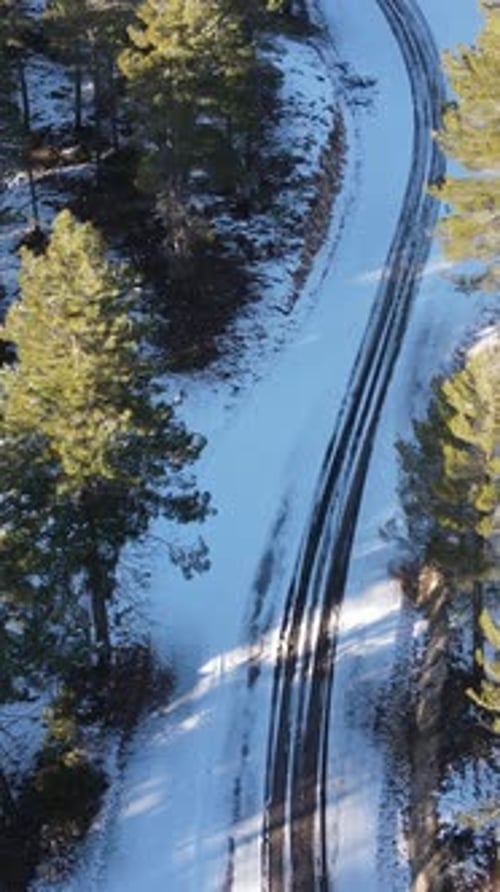 Snowy Forest Road
