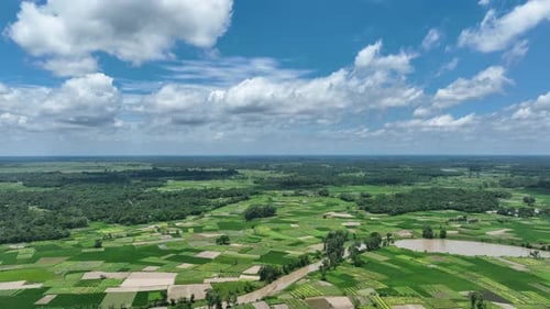 Aerial view of cultivated lands, Bangladesh.