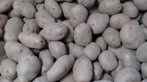 Fruit Shop Potatos