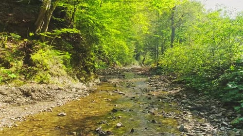Images aériennes : rivière de montagne coulant parmi des rochers de pierre et des rondins