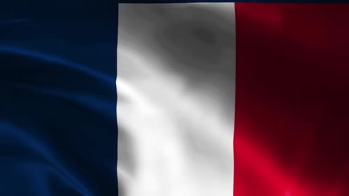 French National Flag Waving Seamless Loop