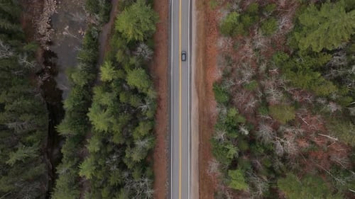 Uma vista aérea deslumbrante de uma estrada serena e pitoresca cercada por uma natureza deslumbrante