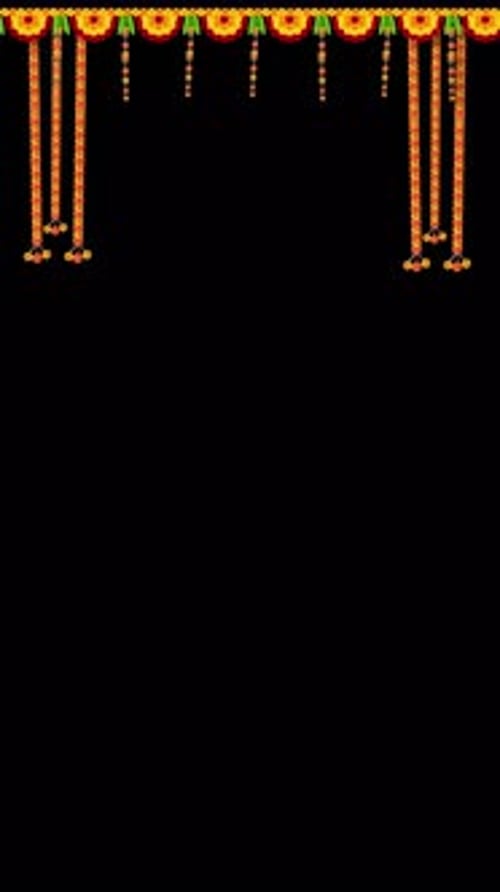 Happy Diwali, Dussehra Indian Holiday festival Marigold flowers. for marriage festivals traditional