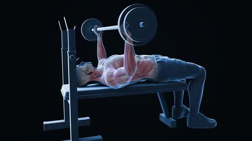 Bench Press Workout