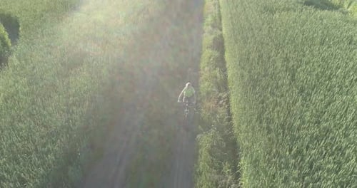 Luftbild eines Jungen, der mit dem Fahrrad durch ein Weizengrasfeld auf der alten Landstraße fährt